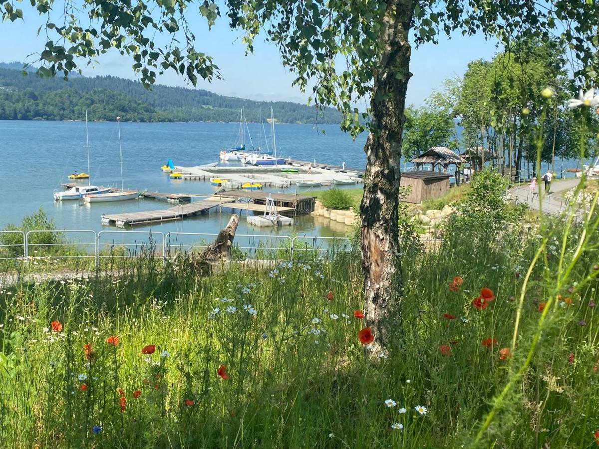 Apartament Czorsztyn Lake & Ski Exterior foto